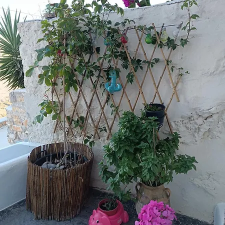 Nina, Dreamy Little Cycladic In Amorgos Villa *